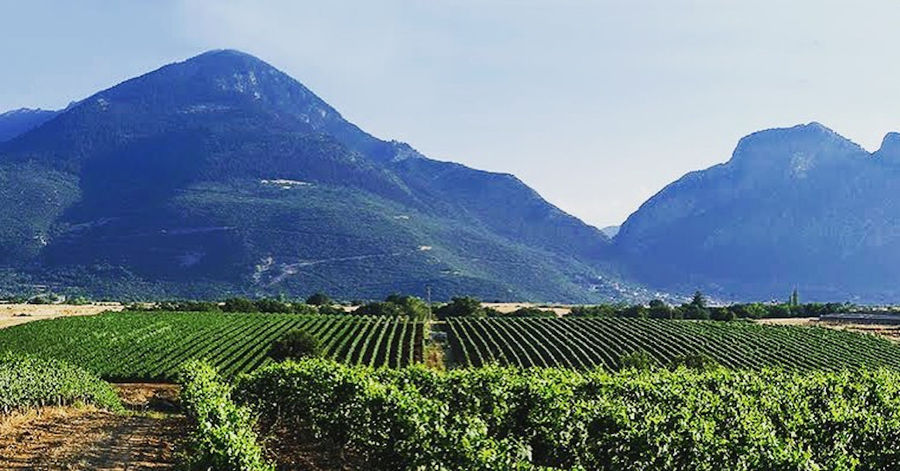 Argyriou Winery vineyards from afar in the background of mountains